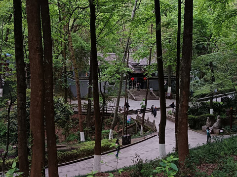山中古寺