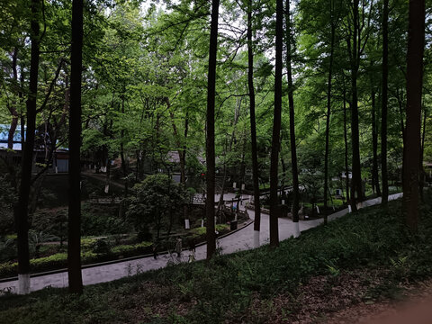 深山古刹