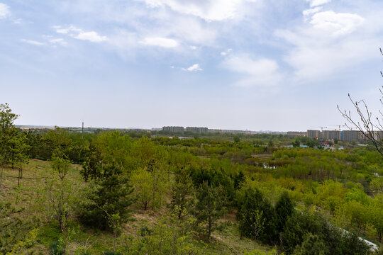 森林公园登高俯拍自然风光美景与城市群