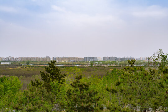 森林公园登高俯拍自然风光美景与城市群