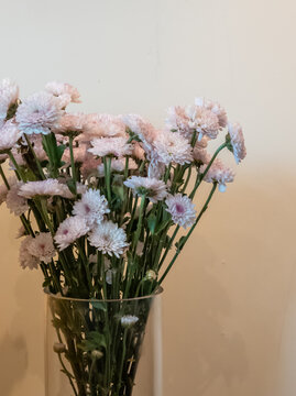 透明玻璃花瓶里的菊花花束