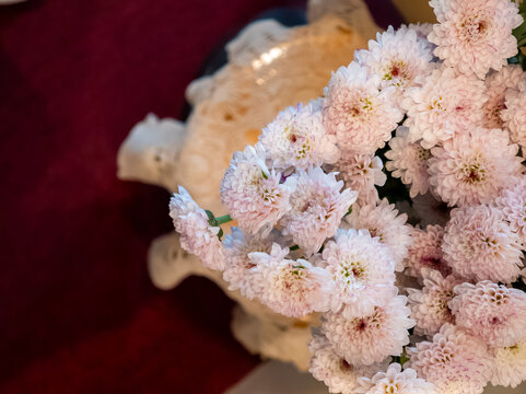 透明玻璃花瓶里的菊花花束