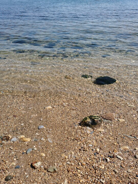海滩