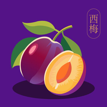 西梅包装插画