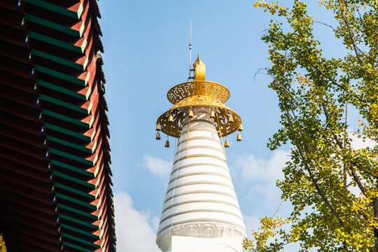 沈阳东塔寺