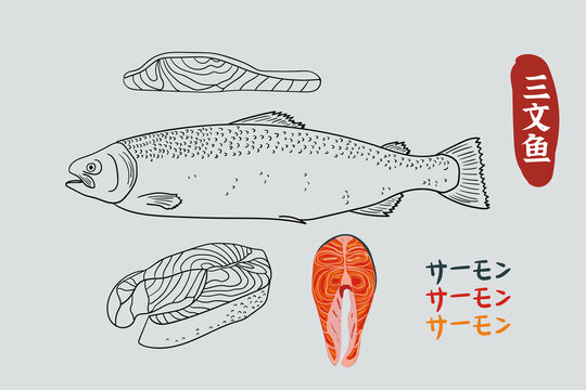 手绘三文鱼