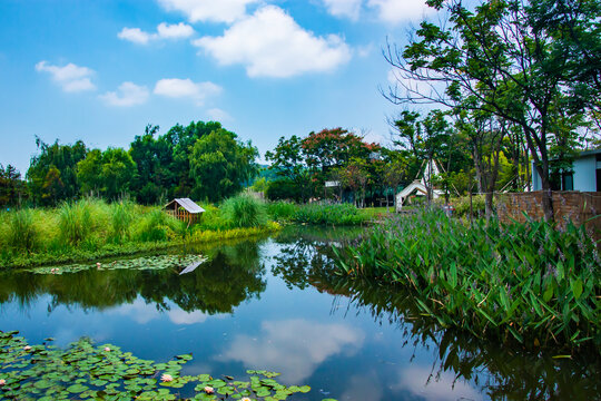 湿地公园景观