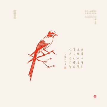 枝头云雀插图麻雀插画