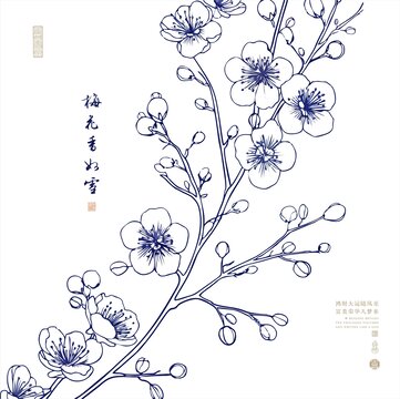 国潮梅花白描插画