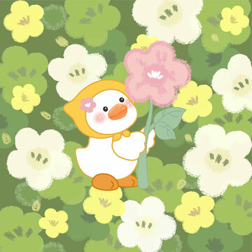 花园里可爱的小鸭