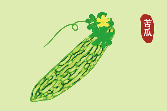 苦瓜