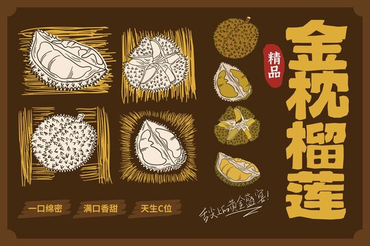 榴莲包装插画