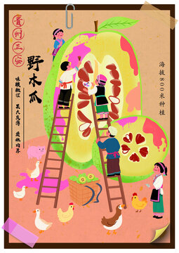 酸木瓜插画