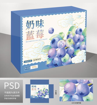 手绘蓝莓插画水果包装系列
