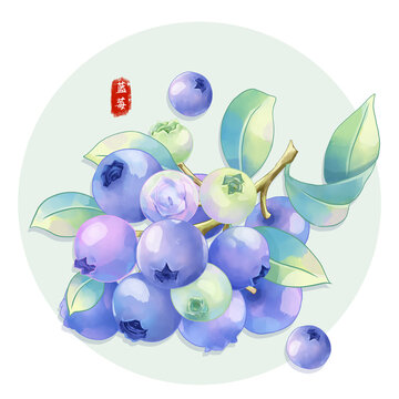 手绘蓝莓插画水果包装系列