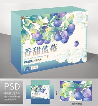 手绘蓝莓插画水果包装系列