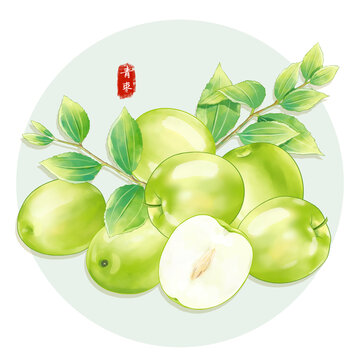手绘青枣插画水果包装系列