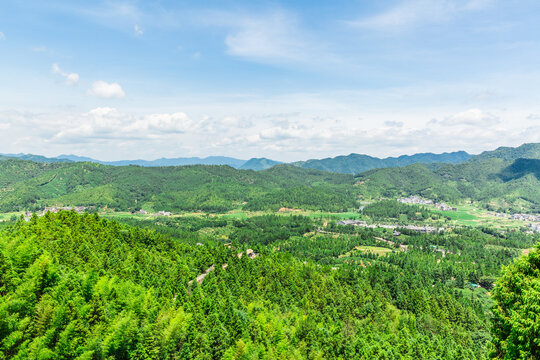 青山