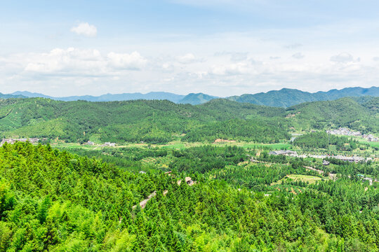 青山