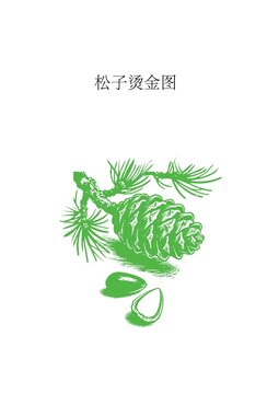 松子烫金版