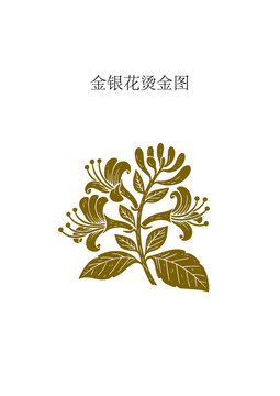 金银花烫金版