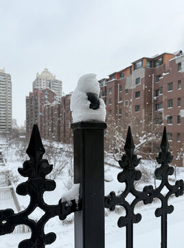 栏杆上的雪