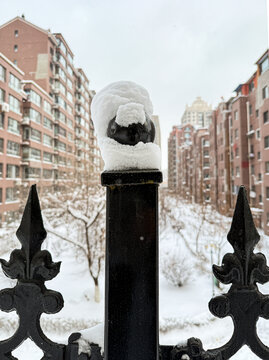 栏杆上的雪
