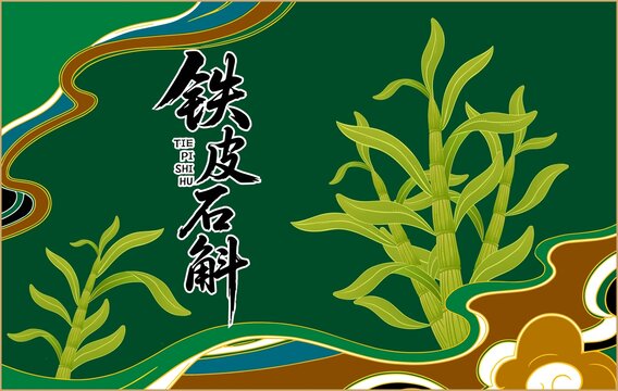 铁皮石斛包装