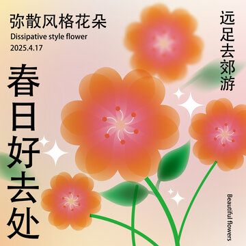 弥散风花朵