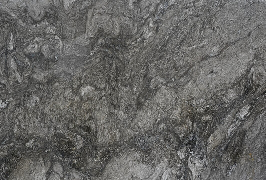 苏格兰银灰