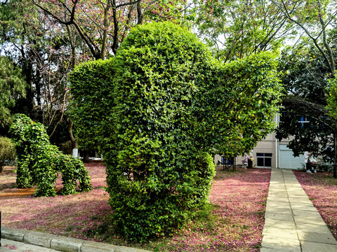 植物造型大象