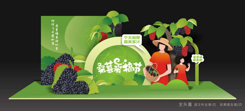 桑葚采摘节