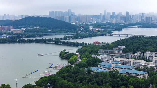 武大凌波门