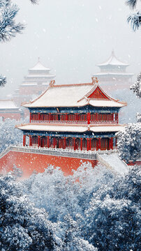 雪映宫墙绣云纹