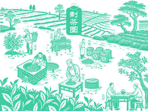 茶叶制作流程