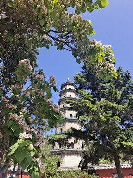 晋祠奉圣寺舍利塔