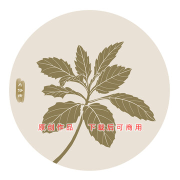 线描片仔癀