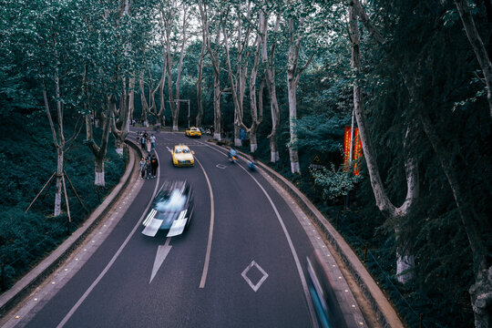 南京梧桐大道