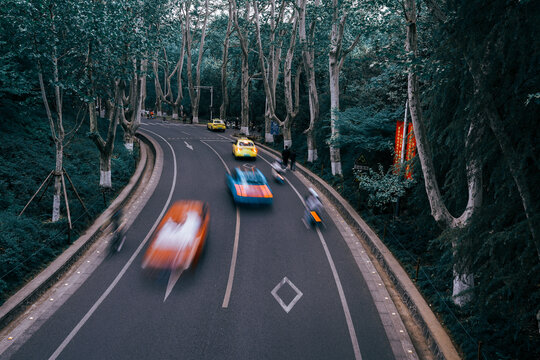 南京梧桐大道