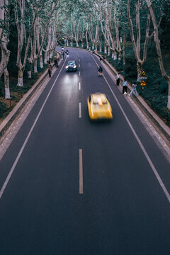 南京梧桐大道