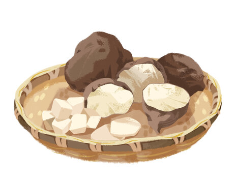 中医中药材手绘茯苓插画