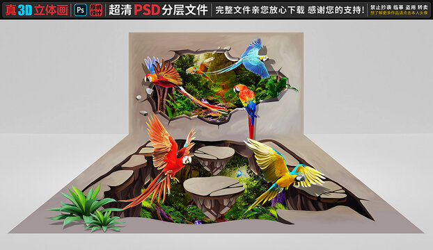 鹦鹉立体画