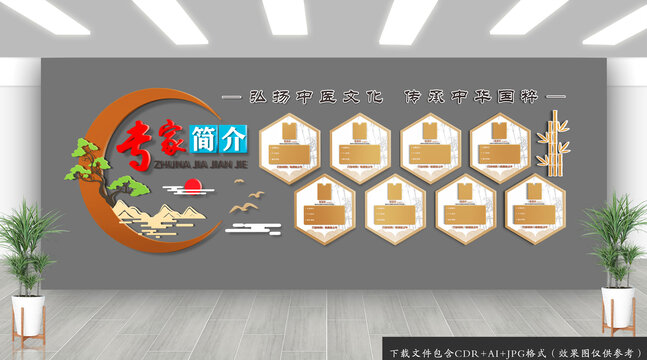 中医专家简介文化墙