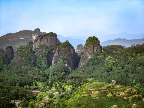 福建武夷山景区三才峰山水风光