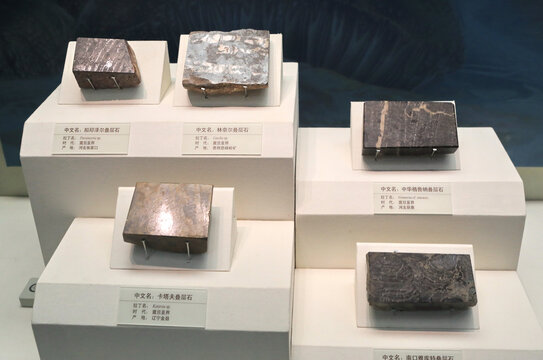 珍贵陨石标本展示