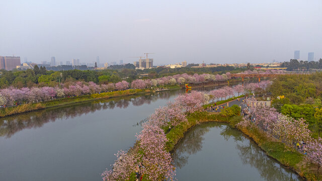 海珠湿地公园