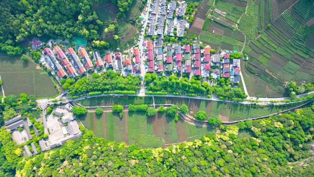 乡村振兴绿色生态茶园