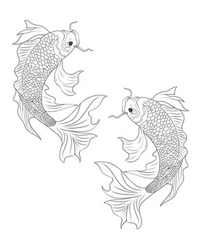 双锦鲤黑白线条插画