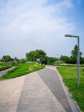 武汉东湖城市中的静谧林荫步道