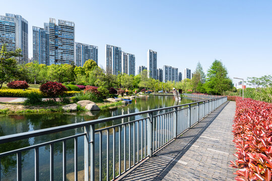 武汉东湖城市河畔的美丽风光